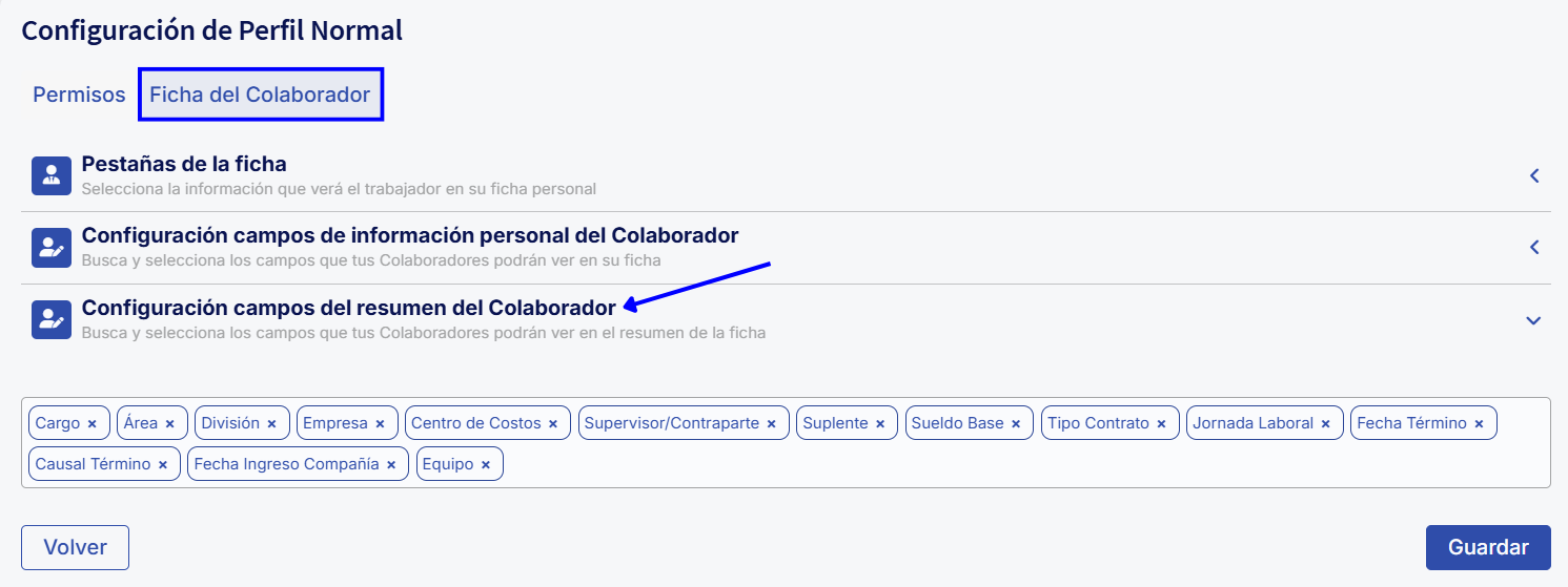 Campos del resumen.png